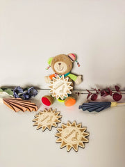 Kleine Sonnenscheine: 13-teiliges Meilenstein-Karten Set aus Holz für Babys erstes Jahr - Prami's