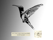 Plotterdatei Kolibri SVG Datei für Cricut | Digitaler Download - Prami's